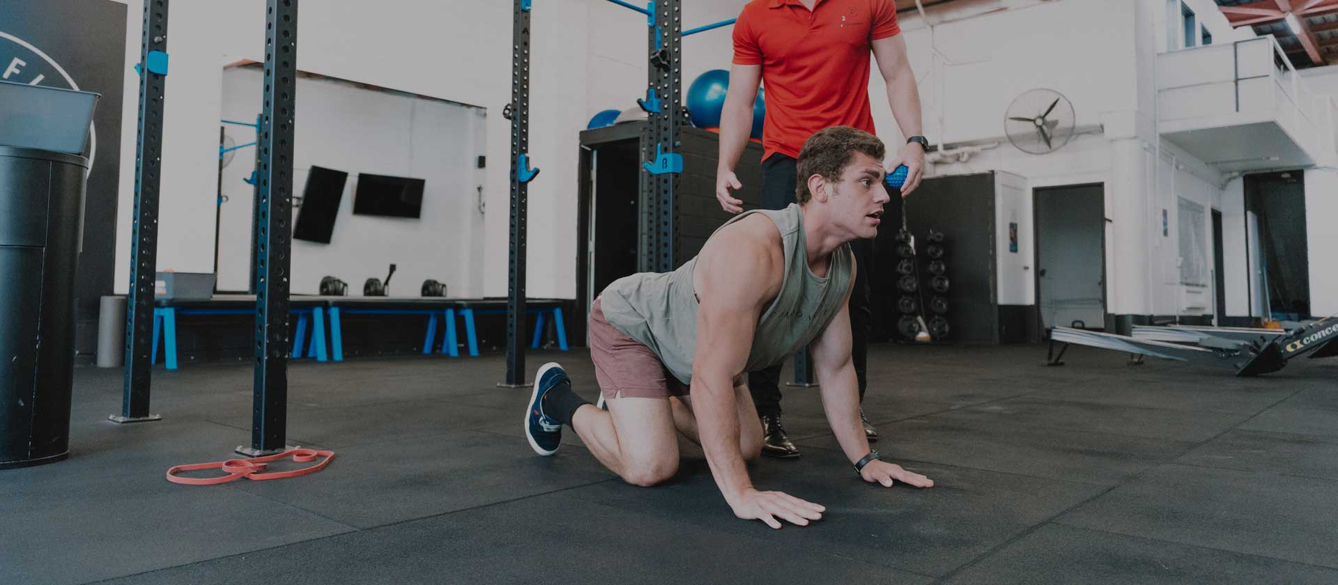 myotherapists Newstead
